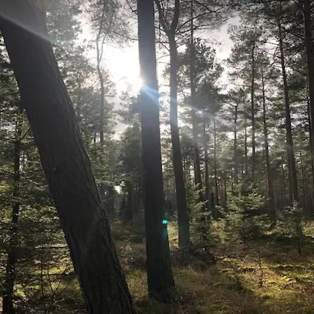 6 Person In Hébergement de vacances Ebeltoft