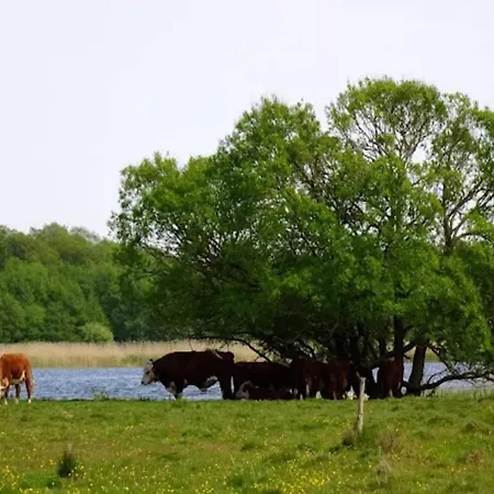 Hébergement de vacances 6 Person In *