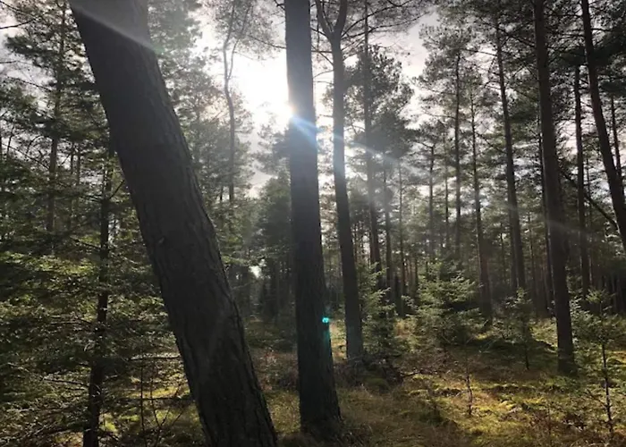 6 Person In Prázdninový dům Ebeltoft