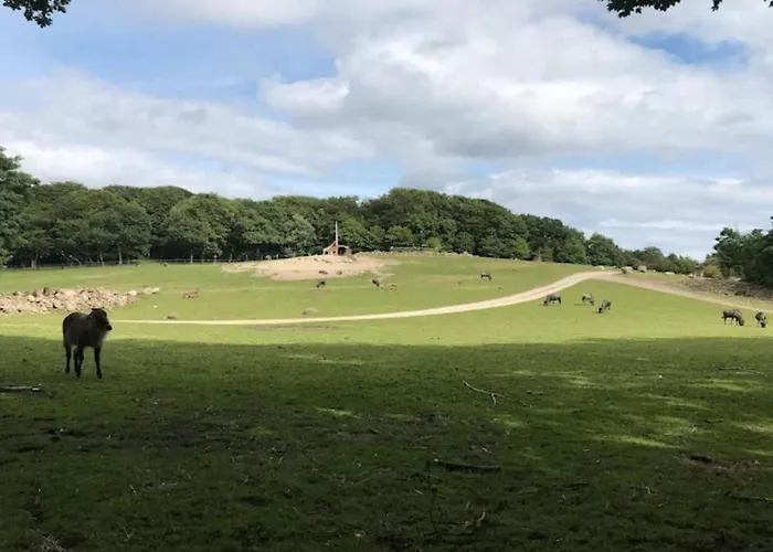 6 Person In Prázdninový dům Ebeltoft