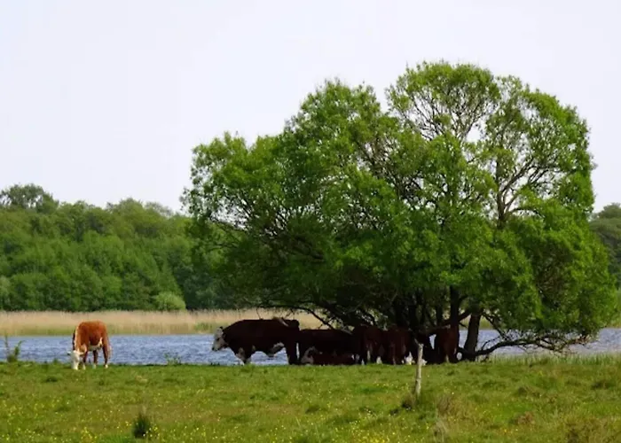 Prázdninový dům 6 Person In *